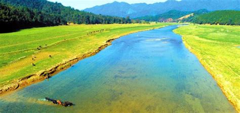泰和县白鹭湖国家森林公园景致美如画_吉安新闻网