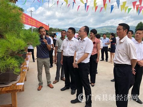 平桂区：“三个专项”活动着力打造“美丽平桂”乡村建设升级版 - 广西县域经济网