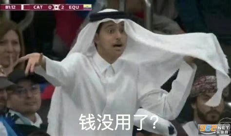 【搞笑世界杯、卡塔尔王子表情包】全世界直播有钱人的不快乐！ - 知乎