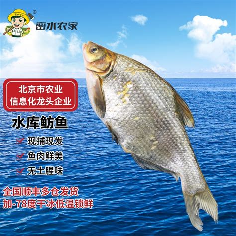 中国南极村海鲜交易 整筐大鱼在船上被买走 学生穿校服帮忙|大鱼|渔民|大姐_新浪新闻