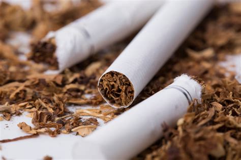 越南烟草业征求代理
