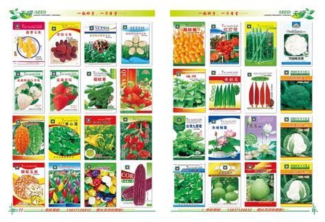 寿禾 12种蔬菜种子种植套餐四季菜籽24.5元（需买3件，共73.5元） - 爆料电商导购值得买 - 一起惠返利网_178hui.com