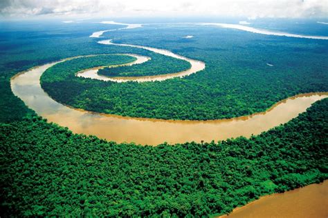 澳洲塔斯曼半岛马尼亚的热带雨林高清图片下载-正版图片302547665-摄图网