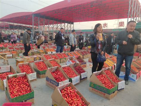 坚持不懈改善民生 全省农贸市场改造提升加速向农村延伸-中国网