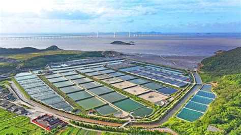 如何开发舟山海水养殖“芯片”，让本土培育良种充盈“蓝色粮仓”？_手机新浪网