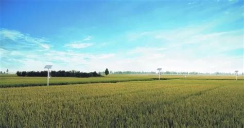 【重磅】丰城市入选首批国家农业可持续发展试验示范区