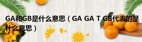 GA和GB是什么意思（GA GA T GB代表的是什么意思）_51房产网