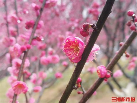 梅耶高中生物  第1张