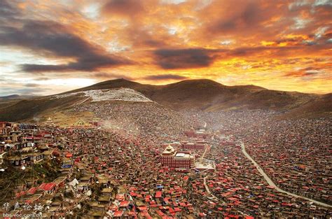 西藏措美：草原天地阔 万物任徜徉_时图_图片频道_云南网