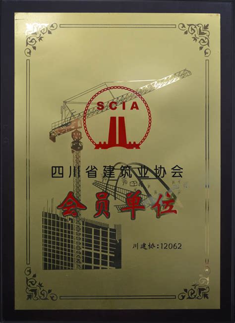 四川省建筑业协会先进企业（2020年度奖牌） - 资质荣誉 - 关于我们 - 四川志信建设工程有限责任公司