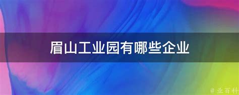 【深度·聚焦】眉山市坚定推动民营经济高质量发展系列报道丨从“营商”到“赢商”，让企业轻装上阵→-眉山网－眉山新闻网－主流媒体 眉山门户