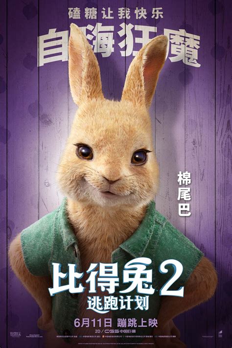 英文原版动画:《比得兔/彼得兔》第一季 - 爱贝亲子网