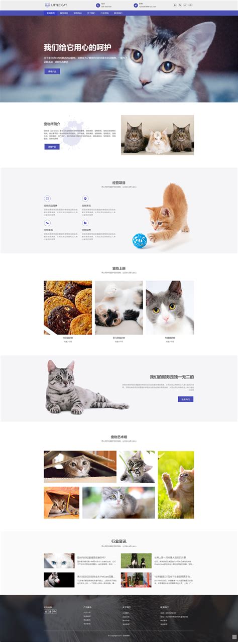 竹子建站网站模板-宠物医院网站模板