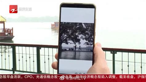官方回应杭州西湖加了护栏：已优化调整_新浪新闻