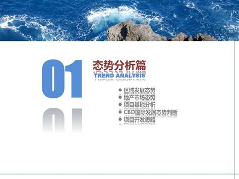 湛江中央商务区(CBD)发展策划与城市规划设计_word文档在线阅读与下载_无忧文档