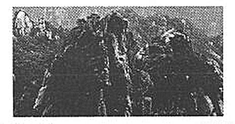 1929年安徽黄山老照片，90年前的黄山秀美风光-聚才发