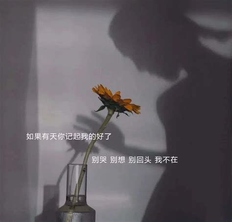 想家的文案图片