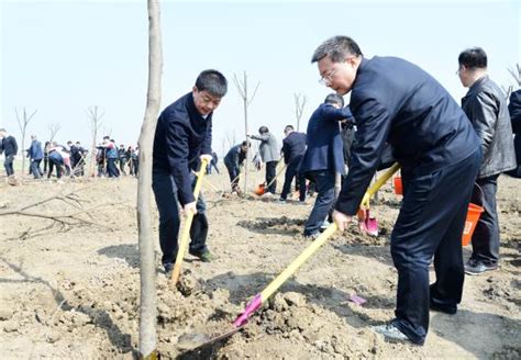 建湖县人民政府 平台链接 陈平薛盛堂率县四套班子领导参加义务植树