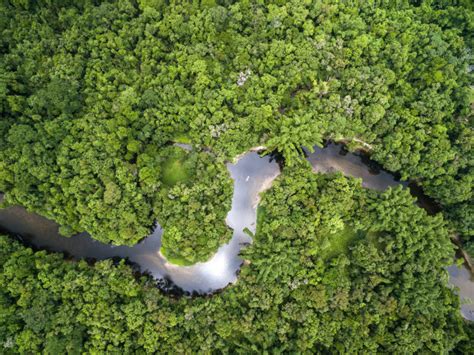 航空拍摄的亚马逊雨林在巴西，南美照片摄影图片_ID:161959036-Veer图库