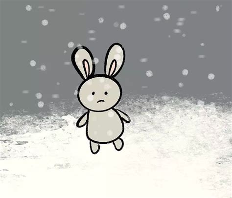 雪白的兔子图片_雪白的兔子图片大全_雪白的兔子背景图片