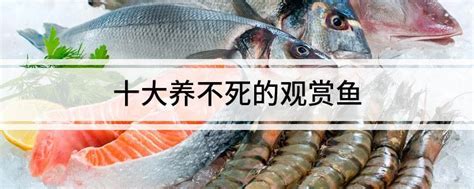 鱼类DHA、汞含量大排行 宝宝吃鱼建议这样选-广东海洋大学水生博物馆