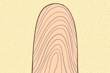 手指指纹簸箕和斗图片