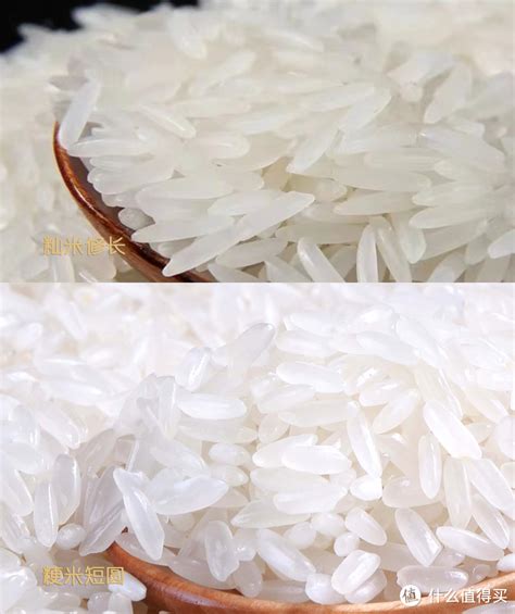 常吃的大米在显微镜下被放大，看完眼前的一幕，长见识了！_腾讯视频