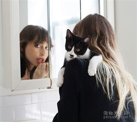 女孩与猫：女人和她们收养的猫咪（第二期） | 宠物天空