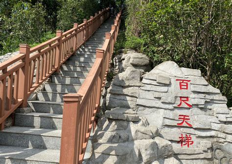 2020塘朗山郊野公园-旅游攻略-门票-地址-问答-游记点评，深圳旅游旅游景点推荐-去哪儿攻略