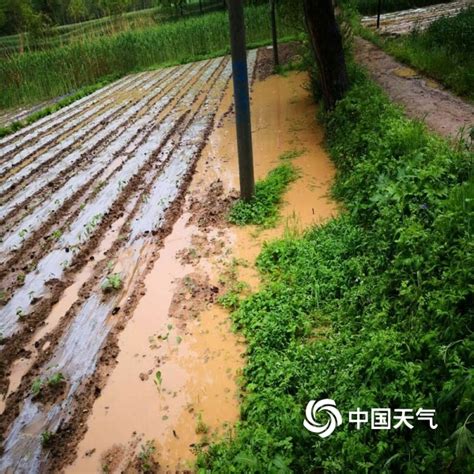 田东暴雨农田道路被淹-广西高清图片-中国天气网