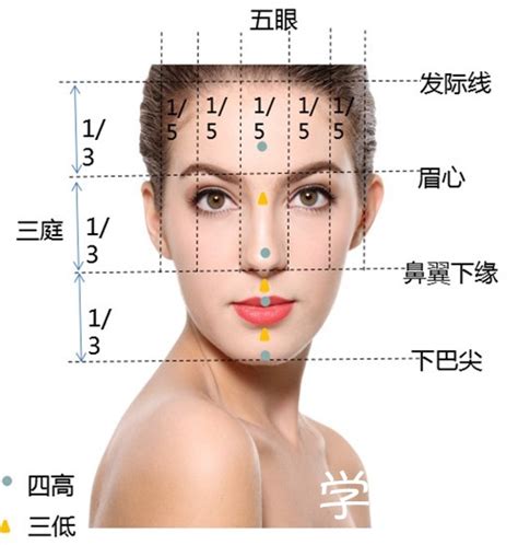 【图】眉毛的种类图片展示 小编教你看脸型画眉形(2)_眉毛的种类图片_伊秀美容网|yxlady.com