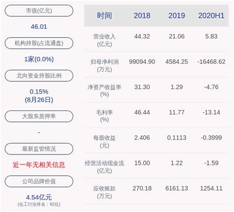 中国化工100强企业排名（沧州化工）-yanbaohui