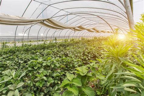 亿维自动化智慧农业大棚解决方案-亿维
