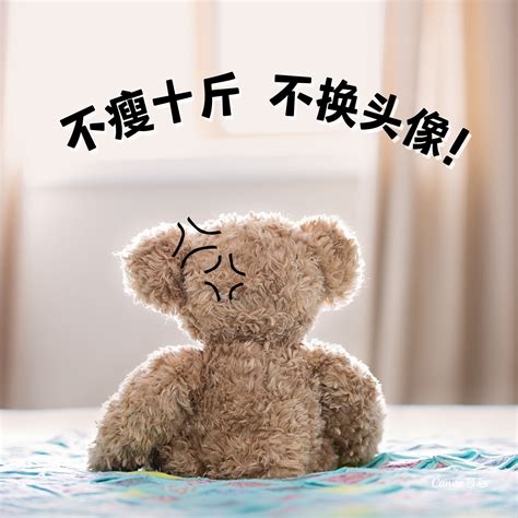 换头像的图片