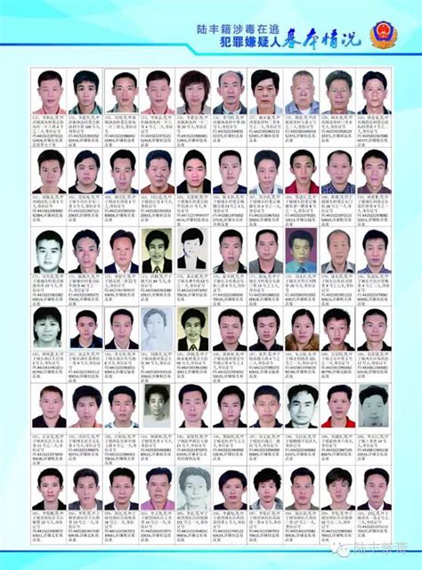 广东通缉328名陆丰籍涉毒逃犯，17年前已列为重点整治区_凤凰网资讯_凤凰网