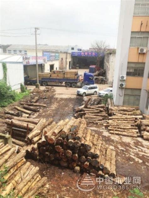 张家港市金港镇中沛木材市场隐患多群众反映强烈为何整改难？-中国木业网