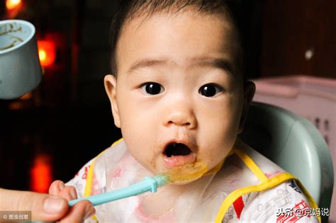 八个月婴儿可以吃什么辅食（8月龄宝宝）-幼儿百科-魔术铺