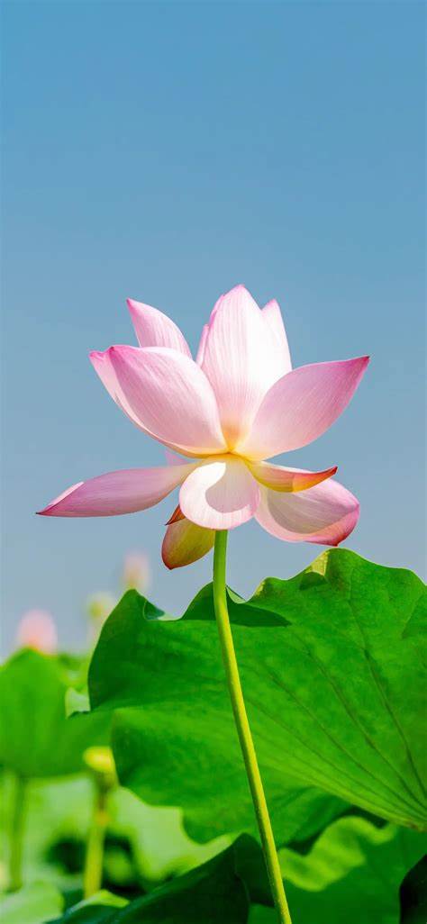 各種大門樣子