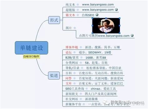 白杨SEO：再谈如何建设外链及外链策略（赠送友情链接圈）