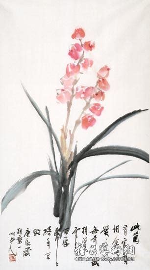 粉红色的大花蕙兰或兰花花蕾高清摄影大图-千库网