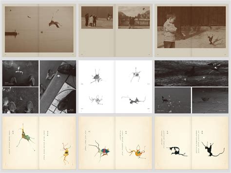 专访｜朱赢椿《虫子诗》：虫子是这世上最随性的艺术家|虫子本|虫子诗|虫子书_新浪新闻