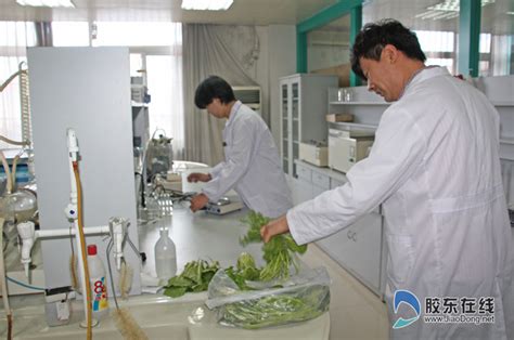 VC10s 蔬乐试-蔬菜农残检验计-化工仪器网