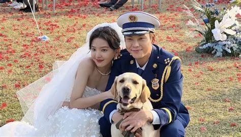 陈伟霆的结婚图片