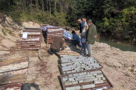 地质六队两项矿产资源储量核实项目通过野外验收 广东省地质局