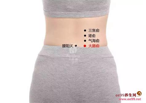 胃俞的准确位置图图片