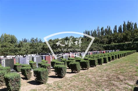 市局开展公墓价格收费检查_滁州市市场监督管理局