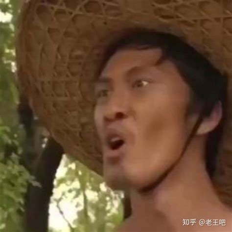 刘海柱表情包图片