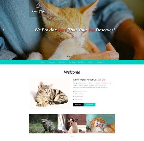 web前端课程设计：猫咪领养网站 HTML+CSS+JavaScript_前端宠物店猫咪区-CSDN博客
