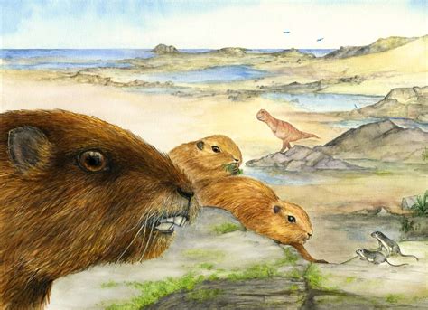 出土了与恐龙同时代的体型第二大的哺乳动物颅骨化石 - 神秘的地球 科学|自然|地理|探索