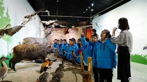 内蒙古自然博物馆荣获自治区级“青年文明号”荣誉称号|自然博物馆|内蒙古|志愿服务_新浪新闻